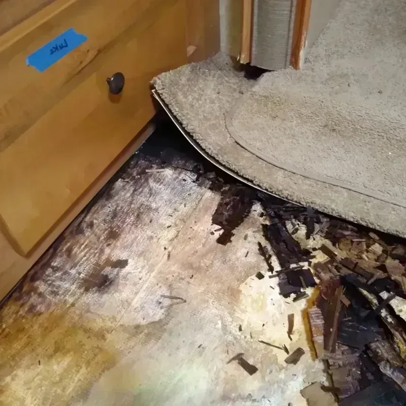 Wood Floor Water Damage in Laguna, CA